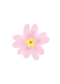 Fleur d&eacute;licate pour c&eacute;l&eacute;brer mamie